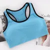 Yoga Outfit Seamless Mesh Sports Bra Women No Steel Ring Workout Breathable Quick-Dry Shockproof Gym Fitness Running Underwear