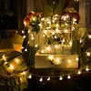 Corde Decorazione natalizia Fiocco di neve Palla Ciliegia Luna String Lights Ghirlanda di strada Illuminazione natalizia Festone Led Light Year 2023