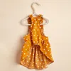 Hundebekleidung Koreanische Mode Kätzchen Hunde Kleidung Elegantes orange gepunktetes Kleid Party Kleine Kleidung Katze Dünner Sommer Süßes Bichon Niedlich Großhandel