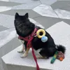 犬のおもちゃを噛むぬいぐるみぬいぐるみリングボックスダイヤモンドケースぬいぐるみペット噛む子犬の子犬の子犬のかわいいソフトな苦味221111