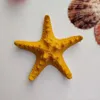 Dekorativa blommor 1pc mini Artificial Starfish Harts Sea Star Desktop Ornament Anti-Corrosion Aquariums Decor Starfishes