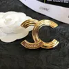 23ss Eenvoudige Merk Brief Designer Pins Broches voor Vrouwen Mannen Leer Mode Kristal Parel Koperen Broche Gouden Plaat Pin sieraden Party