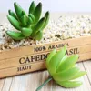 Decorative Flowers Artificial Succulents Green Flocking Plant Bonsai Desktop Fake Valentine Day Christmas Decor Home Wedding El