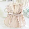 Chien Vêtements Dentelle Robe Pet Chemise De Nuit Style Coréen Jupe Chat Princesse Mince Coton Lin Vêtements Sexy Mignon