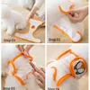 Dog Apparel Shorts Pet Physiological Pants Cartoon Embroidery Washable Puppy Kitten Female Diapers Menstruation Underwear Items