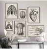 Noordse canvas print educatie schilderen modern decor menselijke anatomie kunstwerken medische muur foto spier skelet vintage poster mensen figuur schilderen geen frame
