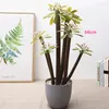 Dekorative Blumen Großhandel Künstlicher Kaktus im Topf, tropische Simulation, Beflockung, Büro, Display, Bonsai, Kunststoff, Sukkulente, El House