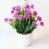 Decorative Flowers Artificial Plant Bonsai Succulent Potted Small Anti-fade Plastic Floral Arrangement Fake Lotus Bedroom Desk Decor For