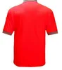 Wholesale High Visibility Polo sports fit quick dry breathable fabric Shirt for Big men