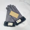 Moda zamszowe ciepłe rękawiczki zimowe rękawiczki damskie jadące polarowe wyściełane wyściełane ciepło, utrzymując zimno-odporne na wiatr