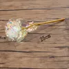 Blommafolie Gold Party Favor LED LUMINOUS EVERLASTING ROSE MOTHER VALENTINES DAG Gift 2 Colros