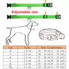 Collari per cani USB Ricarica USB LED Luminosa Anti-Lost/Evita per incidenti automobilistica per incidenti Cani di sicurezza per cani Accessori per animali domestici