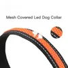 Collares de perros Correo Nylon Collar de perros Flash Saféy Led Glow Impermeable Arnés de perros Collares Accesorios Perros Luminoso Fluorescen Suministro de mascota 221109