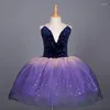 Stage Wear Children's Professional Ballet Dress Performance Student Modern Dance Long Yarn Skirt Girl Cake