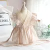 Chien Vêtements Dentelle Robe Pet Chemise De Nuit Style Coréen Jupe Chat Princesse Mince Coton Lin Vêtements Sexy Mignon