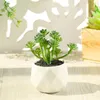 Fleurs décoratives plantes artificielles plantes succulentes Simulation en pot avec Pot de fleur Mini différent pour la décoration intérieure