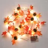 문자열 할로윈 메이플 포도 나무 호박 과일과 구리선 끈 빛의 빛 홀리데이 파티 크리스마스 해 장식