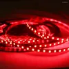 Strips Led Strip Light 5mm Circuit Board 2835 Tape DC 12V 600led 5m No Waterproof Ip20 3000K 6500K Cool White Warm Red Blue Green