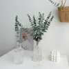 Vasen Nordic Glasvase Ins Einfache Desktop-Dekor Flasche Transparent Gestreifte Blume Hydrokultur Terrarium Flaschen