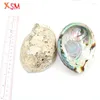 Pendant Necklaces Xinshangmie Fashion Abalone Shell One Side Polished Natural Conch Home Decoration Aquarium Landscaping Wedding Landscape