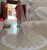 White/Ivory Wedding Veils Long Lace Edge Flower Appliqued Cathedral Length Bridal Veil With Comb 3Meters velo de novia