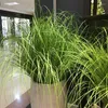 Decorative Flowers 23.62in Artificial Plant 60cm Grass Greeny Realistic Onion Long Plastic Shrub Greenery