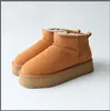 Australien mini plattform stövlar designer kvinna tjock botten ankel varm päls snö boot australisk fluffig fuzz mule tazzs tofflor youloi