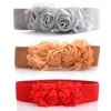 Ceintures large ceinture pour femmes mode fleur tissu élastique extensible ceinture dames robe Corset ceinture vêtements accessoire décoratif