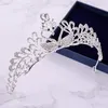 Başlıklar Gelin Tiara Swan Gelin Crown 2022 Avrupa ve Amerikan Rhinestone Headband gelinlik başlığı