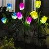 Packa blommor Solar LED Light Outdoor Garden Lawn Lamps för grönsakspatchplats och landshusdekoration