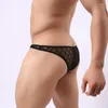 Cuecas aiiou sexy roupas íntimas gays calcinha masculina Briefs malha transparente fishnet masculino folhas de fetiche bulge