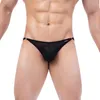 Slips Sexy Hommes Slips Jockstrap String Homme Maille Évider Gay Culottes Tongs Cueca Respirant Sheer Slip Bikini Tanga