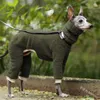 Hundkläder Vinter Turtleneck Whippet Clothes Italian Greyhound Gree Dog Bedlington 221103