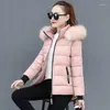 Women's Trench Coats 2022 Winter Parkas Women Jacket Fur Collar Hooded Basic Coat Thicken Female Warm Cotton Padded Outerwear Plus Size