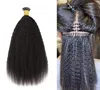 I tip human hair extensions 100 kinky straight 1024 inch04910591