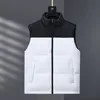 デザイナーのGilet Mensベストトップヒートダウンベストチョッキデザイン