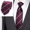 Bow Binds Herren 8cm Paisley Streifen Jacquard Krawatte für Männerklassiker Geschäftsqualität Mode Krawatte Luxusgeschenk Hochzeitszubehör