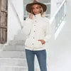 여자 모피 가을 테디 베어 코트 여성 인조 코트 숙녀 겨울 재킷 2022 두꺼운 따뜻한 푹신한 플러시 재킷