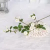 Fleurs décoratives élégantes artificielles chinois Rose fleur Branches Flores décor à la maison bégonia camélia pour mariage fournitures de bricolage 30 pièces