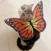 Katthalsar leder fjärilsvingar Halloween kattdräkt kattkläder husdjurskläder också lämpliga för små hundar 221116