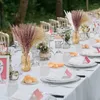 Flores decorativas prácticas pampas secas naturales césped cola esponjosa esponjosa boda de boda boho decoración de regalo arreglo floral