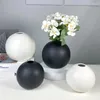 مزهريات Niflheim Stoare Ball Flower Vase Vase Forting