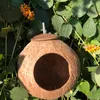 Vogelkäfige Outdoor Ornament Käfig Feeder Holz Hängen Papagei Nest Kleine Nidos Para Pajaros Coconut Shell Produkte DL60NL