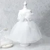 Dog Apparel White Wedding Dress Bridal Costume Puppy Princess Dresses For Small Dogs Luxury Clothes Pomeranian Chihuahua