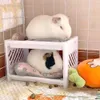 Kleine Tierversorgungen Haustier Etagenbett einfach zu installieren, um eine Hassout -Ecke für Meerschweinchen -Hamster ohne Kissen 221114 zu installieren