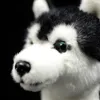 25 cm sibirisk husky hund plysch leksak w/ bruna/ blå ögon livtro alaskan malamute fyllda djur leksaker julklappar lj201126