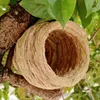 Vogelkäfige Outdoor Ornament Käfig Feeder Holz Hängen Papagei Nest Kleine Nidos Para Pajaros Coconut Shell Produkte DL60NL