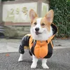 Chien Vêtements Corgi Vêtements Combinaison Vêtements Imperméables Pembroke Welsh Imperméable À Capuche Veste De Pluie Dropship Pet Outfit 221114