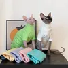 猫の衣装毛のない服冬のプライマーは、スフィンクスをタッチに柔らかく柔らかく保ちます