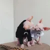 猫の衣装sphynx毛のない服スフィンクスデボン春夏ハラジュクダークシンプルムーンカップルTシャツ